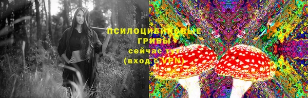 марки lsd Вяземский